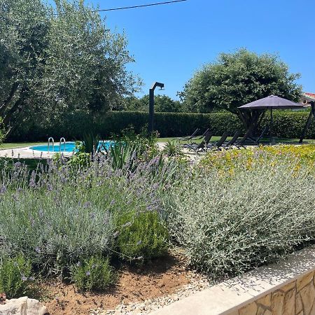 Sunny Apartments Zaton  Εξωτερικό φωτογραφία