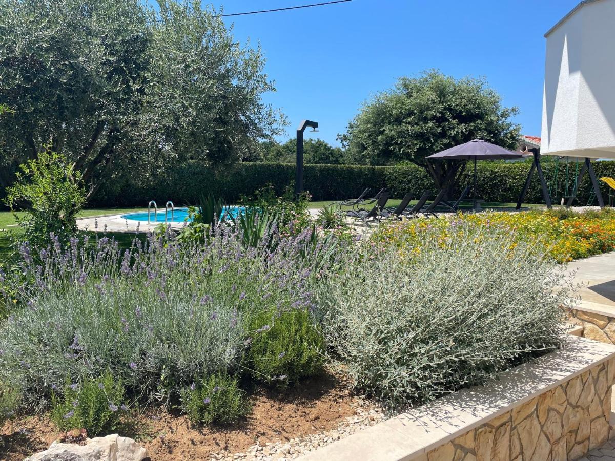 Sunny Apartments Zaton  Εξωτερικό φωτογραφία