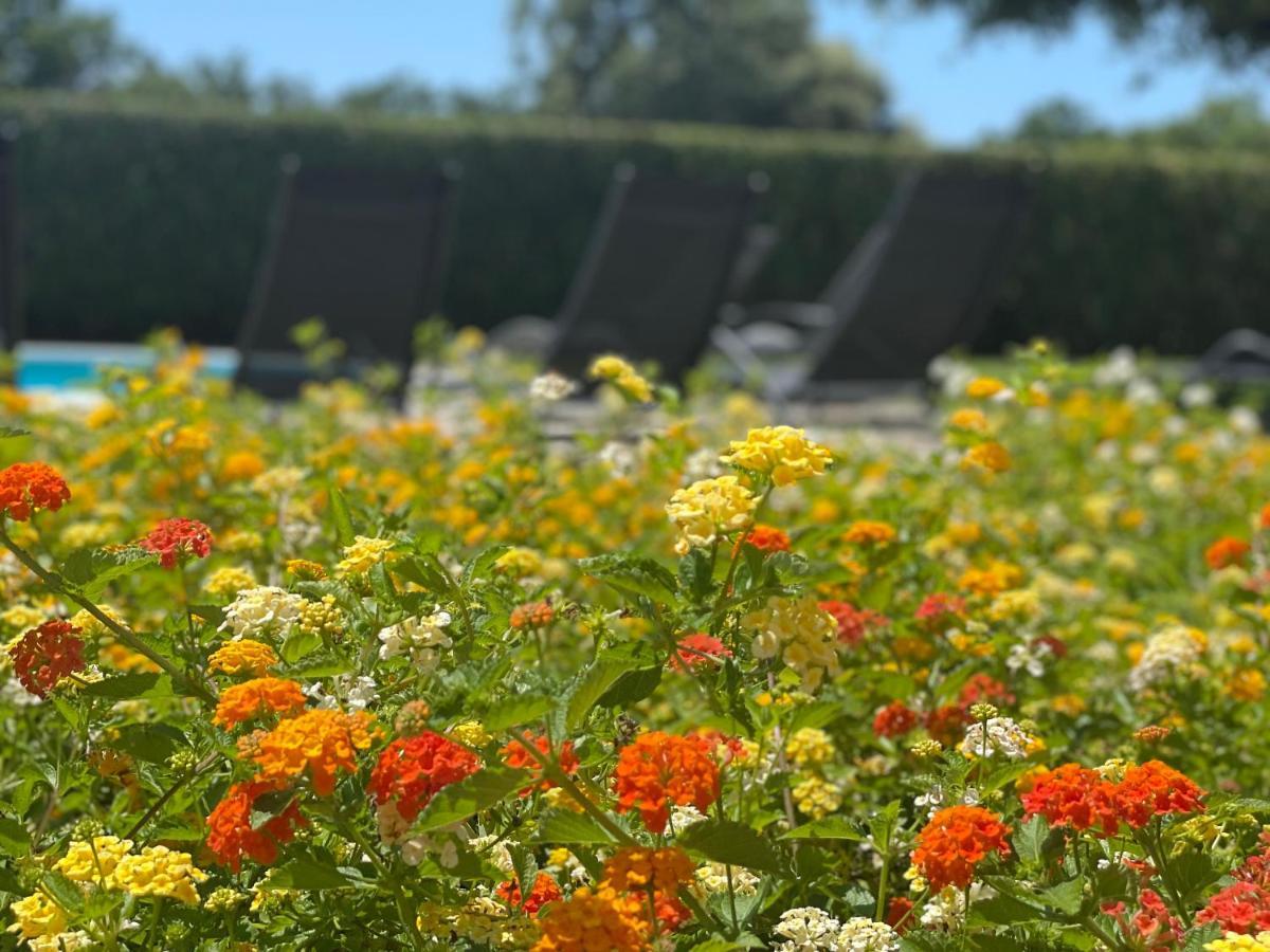 Sunny Apartments Zaton  Εξωτερικό φωτογραφία