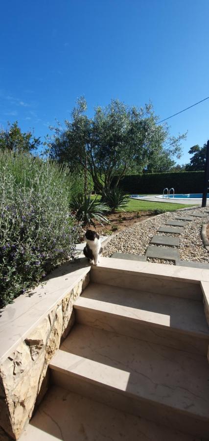 Sunny Apartments Zaton  Εξωτερικό φωτογραφία